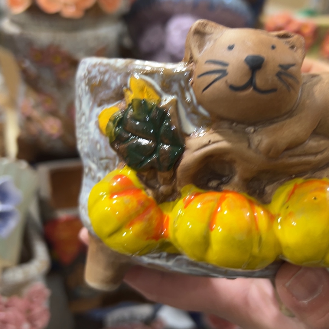 花盆，满20米发货爱退款拉黑