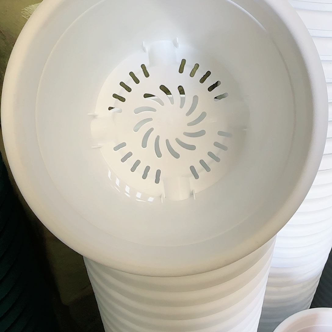 树脂四季3号10个无拖纯白