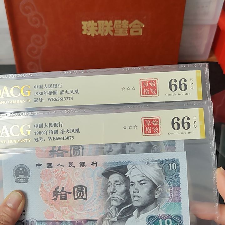 蓝火凤凰原始褶皱65613273➕浴火凤凰3073