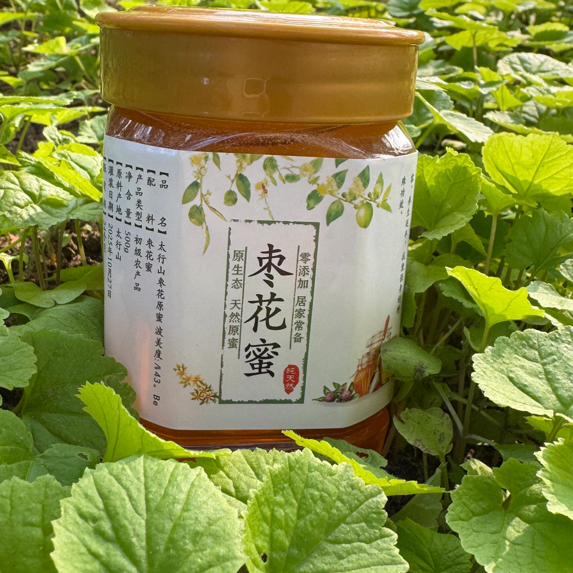 太行山野生酸枣蜜自然成熟43波美度纯正天然无添加蜂蜜【自产自销】