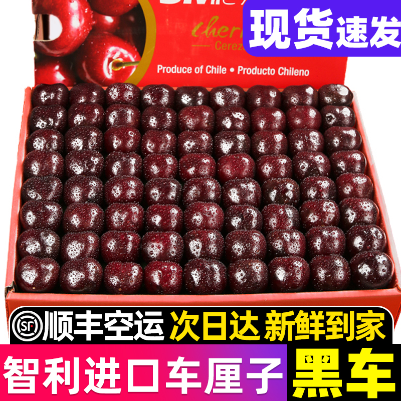 5【现货】智利车厘子瑞吉娜海运5斤原箱樱桃1J2J3J4J 内附果径卡