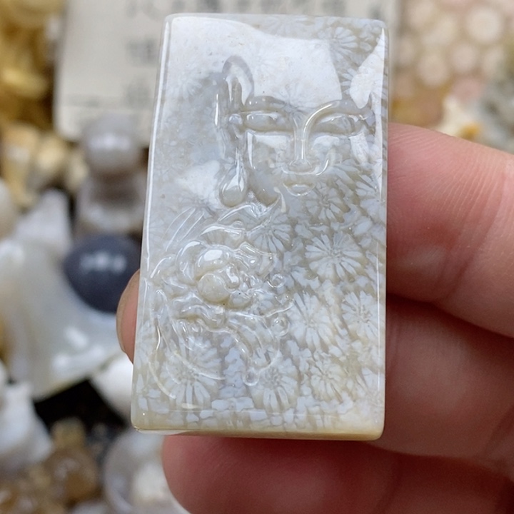 颈饰未镶嵌硅化珊瑚（珊瑚玉）小