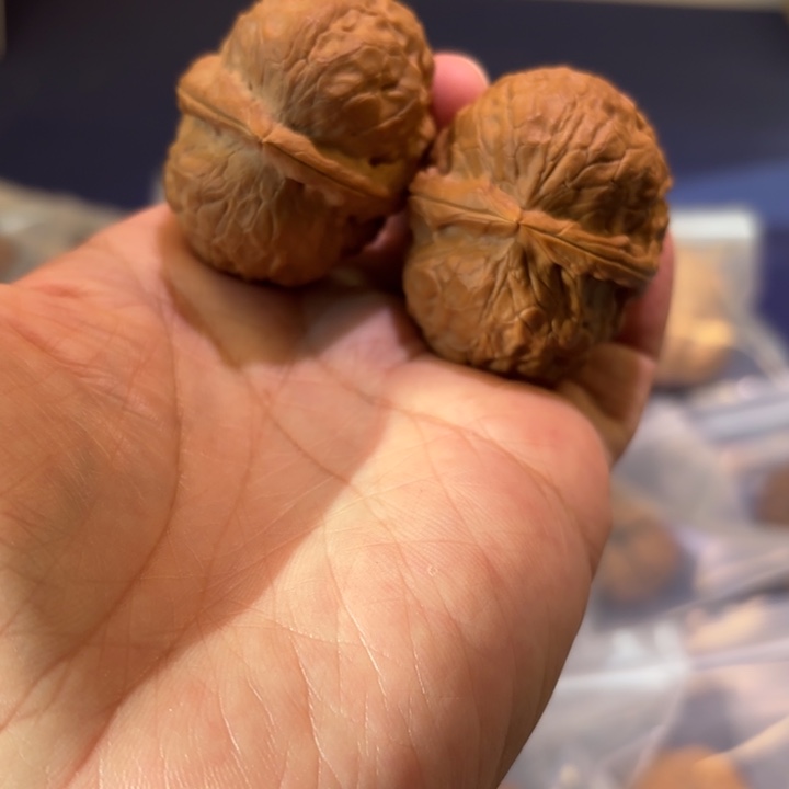 文玩核桃吊坠玄武大帝