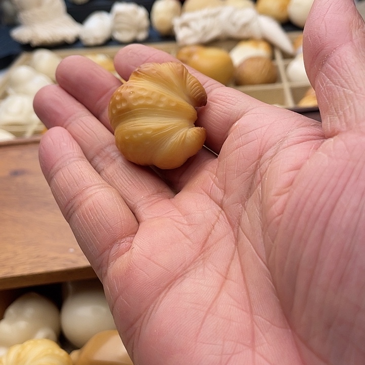 菩提根/象牙果吊坠36牛角包