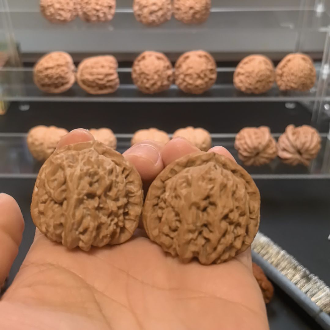 文玩核桃吊坠三角白狮子头