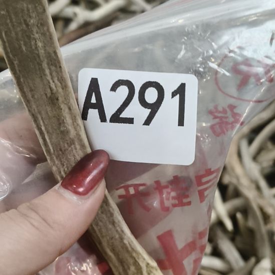 菜***羊鹿角鹿角鹿角鹿角鹿