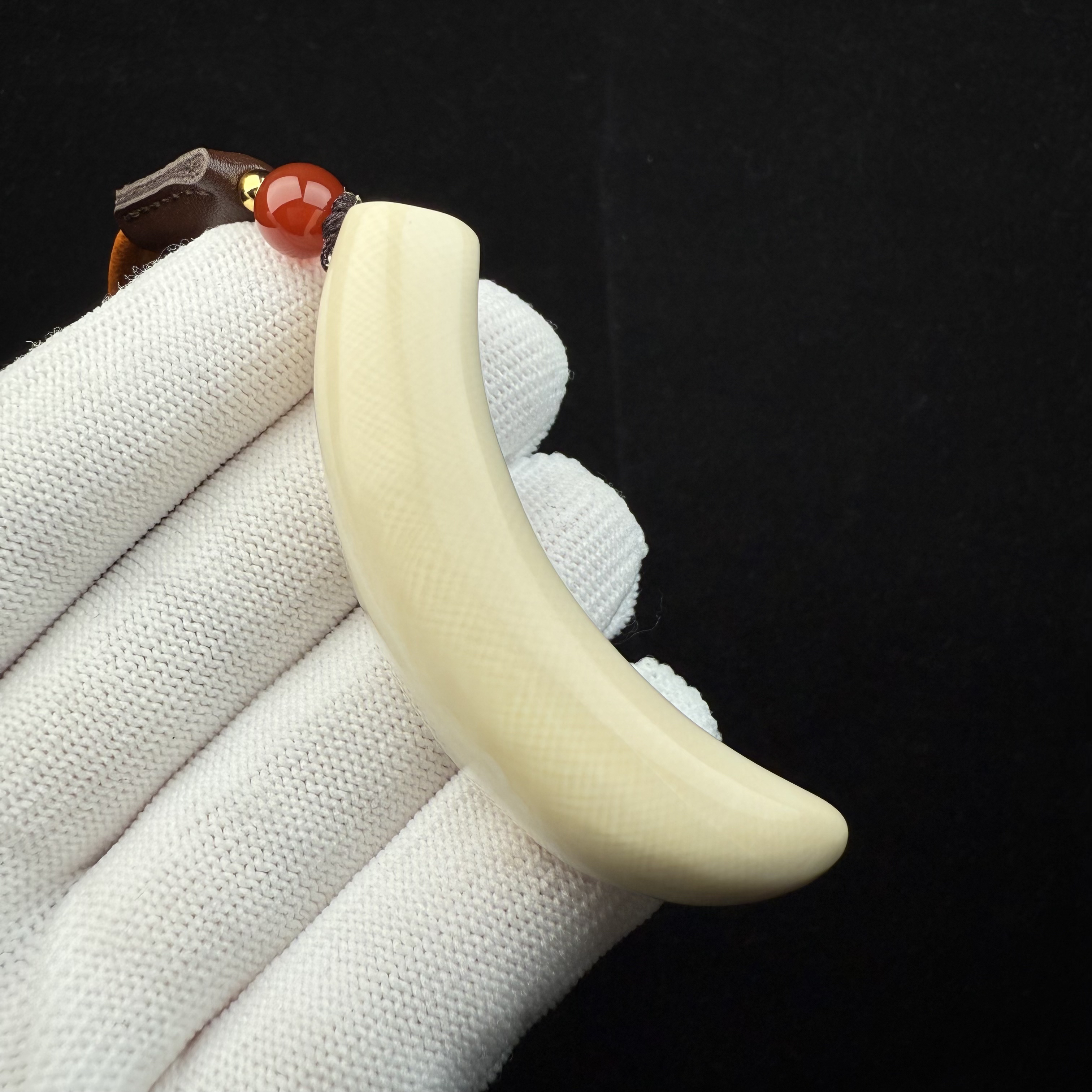 B2573天然猛犸牙 牙尖58.7mm一物一图 假一罚十