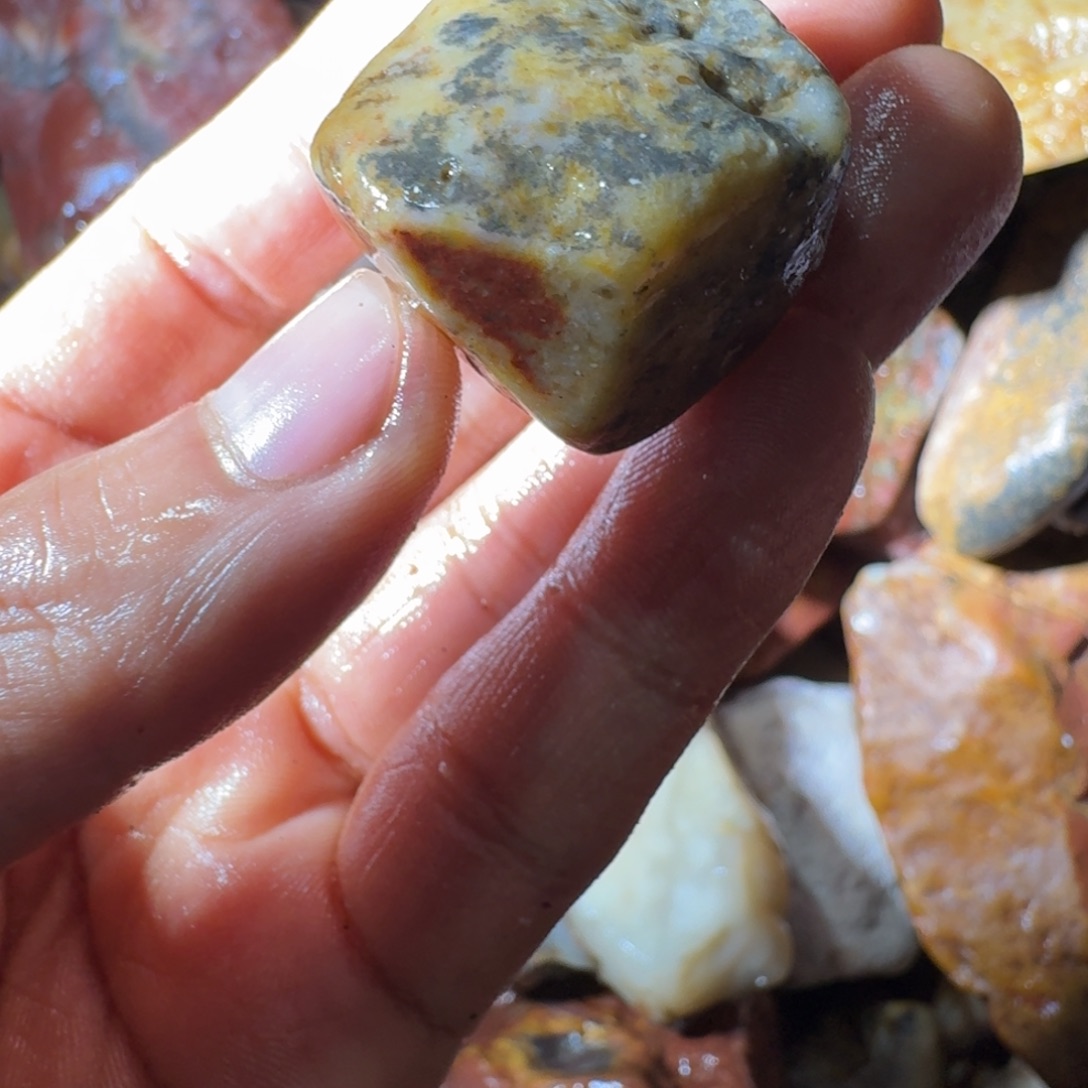 微***通寿山石89988998899888