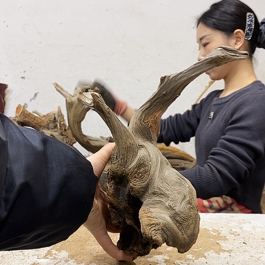 老***赵柏木我们都是好孩子