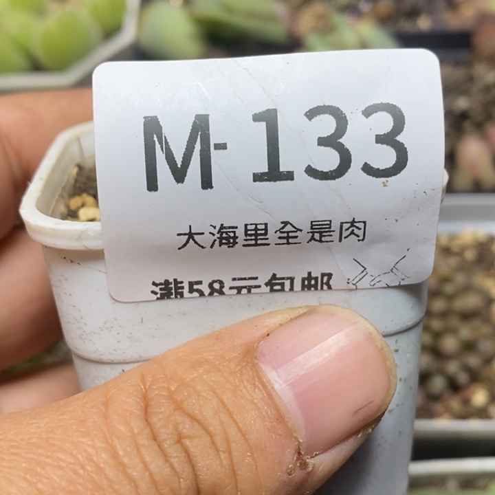 8***22356566696666658888