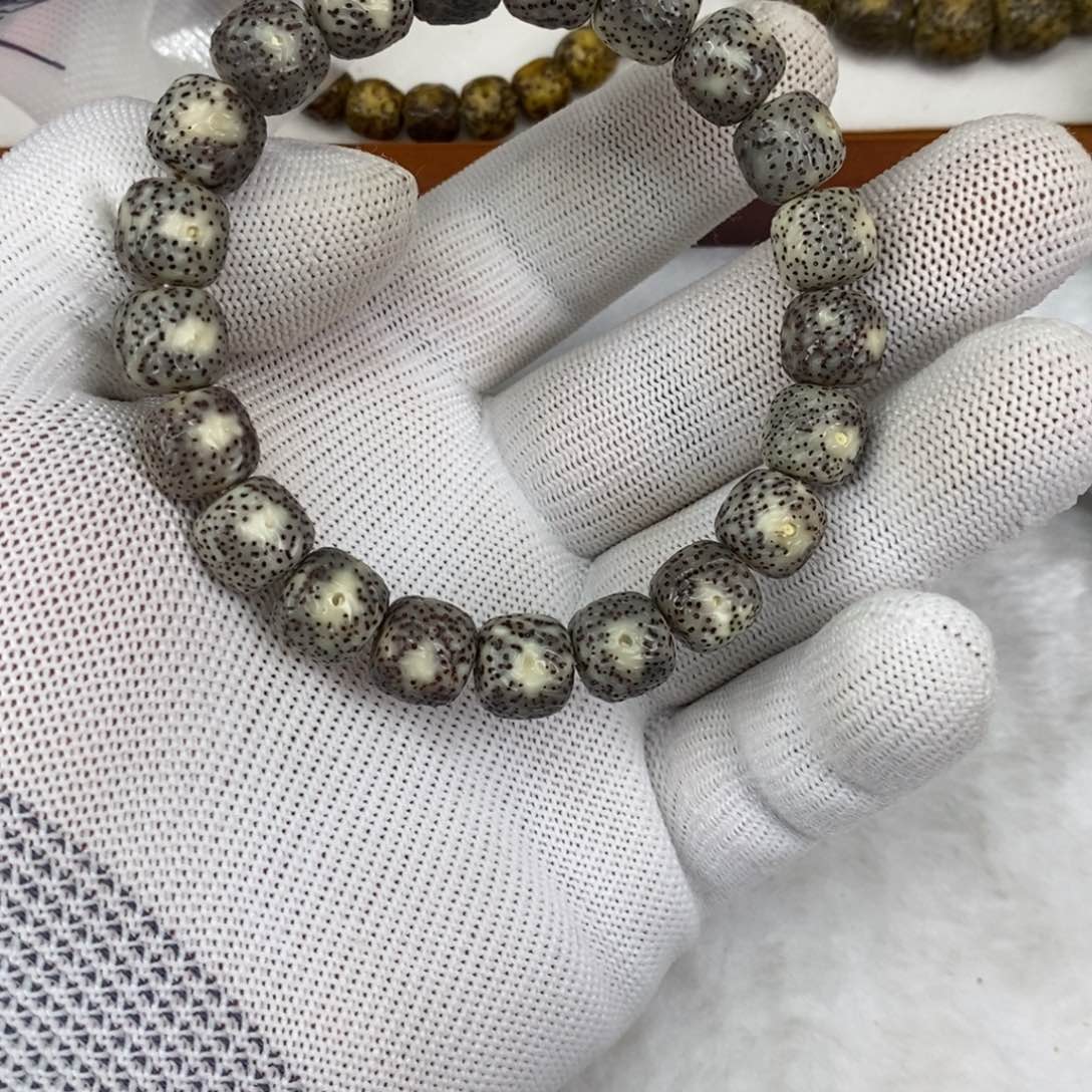 星月菩提手串纯手工傲然无相11同枝