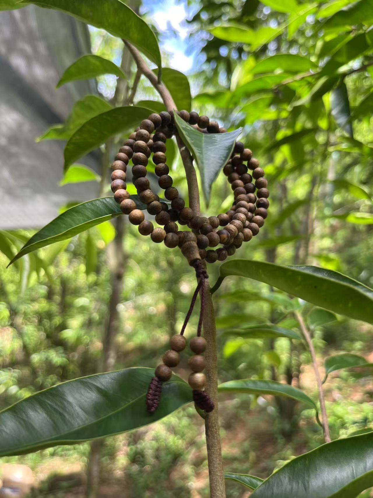 非金属木质手链 卡5乌身虫漏圆珠多圈手串多样发货