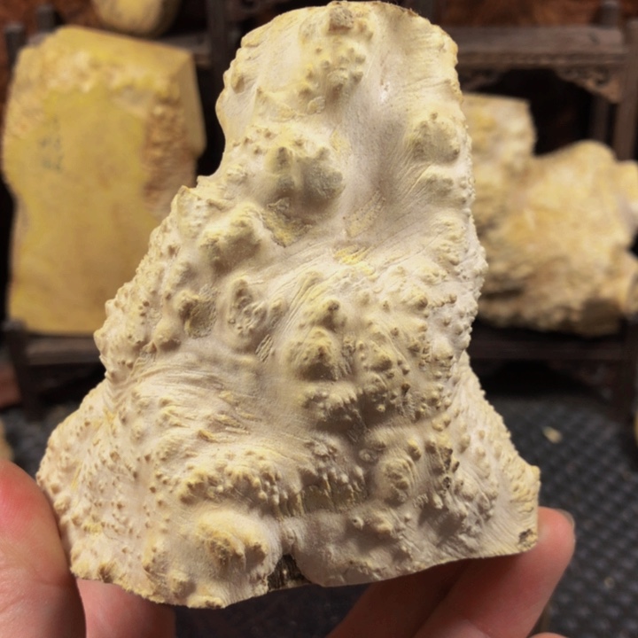 木宁**远木料木料木料木料木料