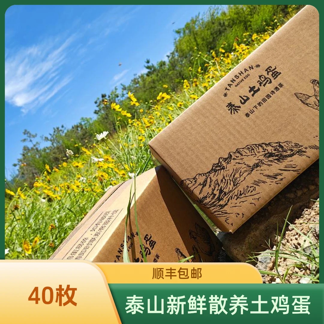 【40枚】顺丰包邮 单个 40-50g 大蛋泰山散养土鸡蛋新鲜现捡现发