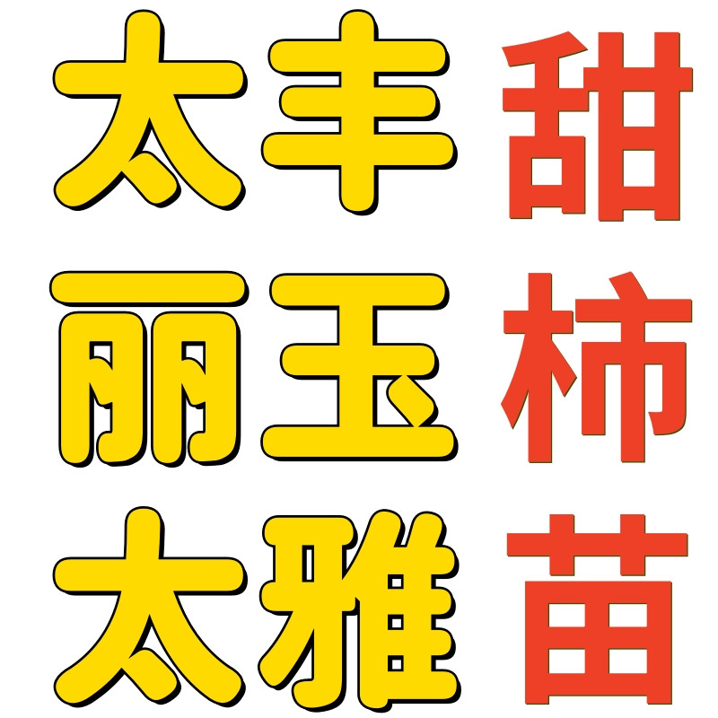 甜柿苗太丰甜柿丽玉甜柿太雅甜柿苗正宗对版亲民价不包成活柿子树
