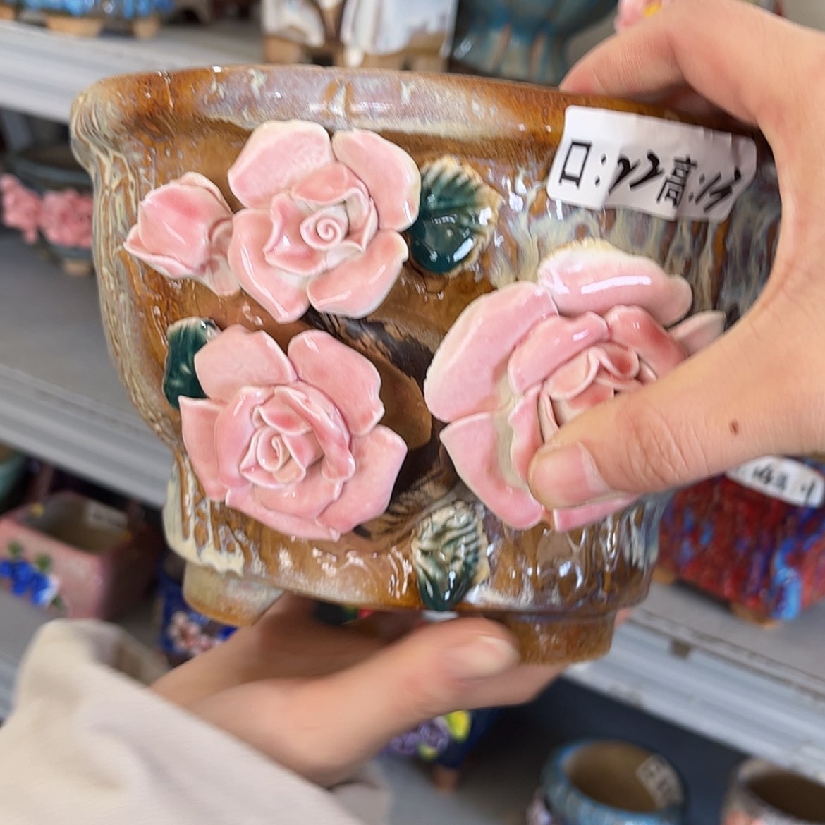 【闪购商品】红陶福利