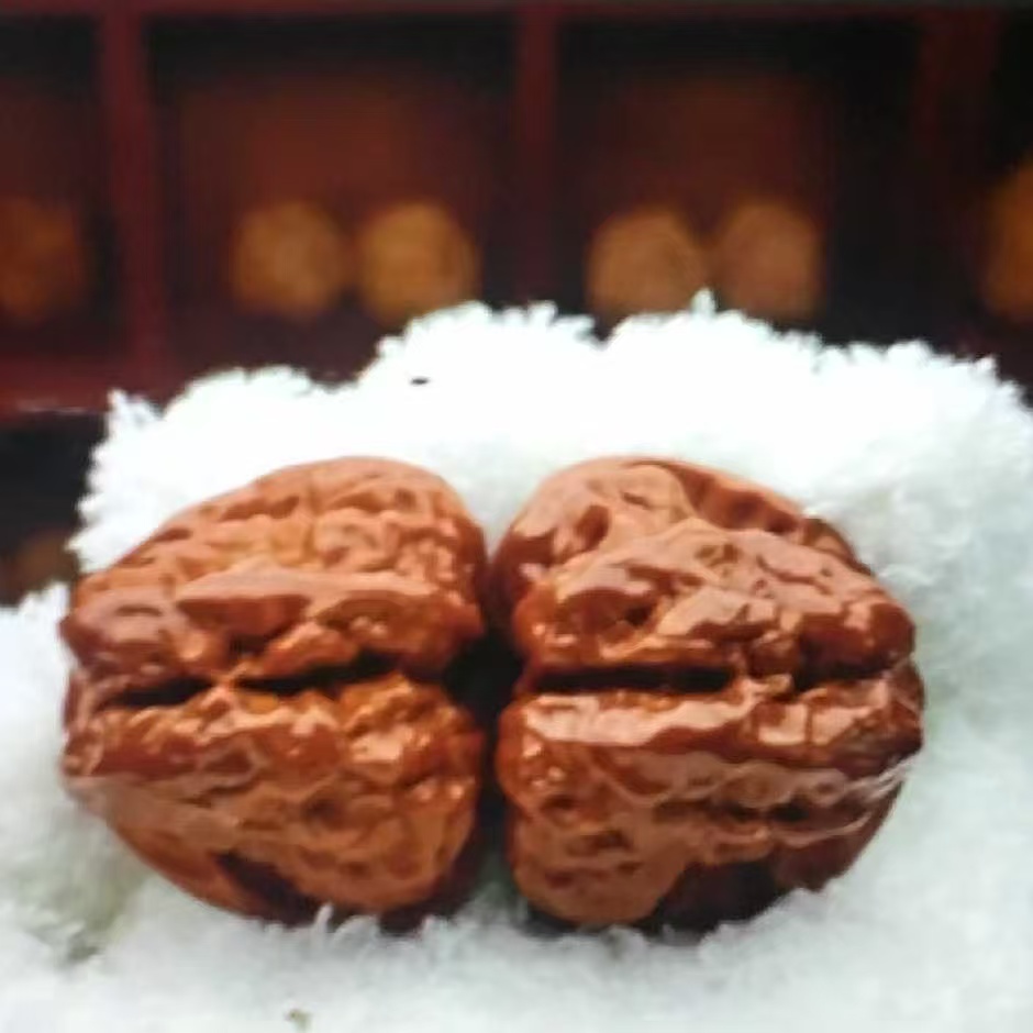 精品文玩核桃秋子迷你野生适合男女手捻把玩可包浆变色