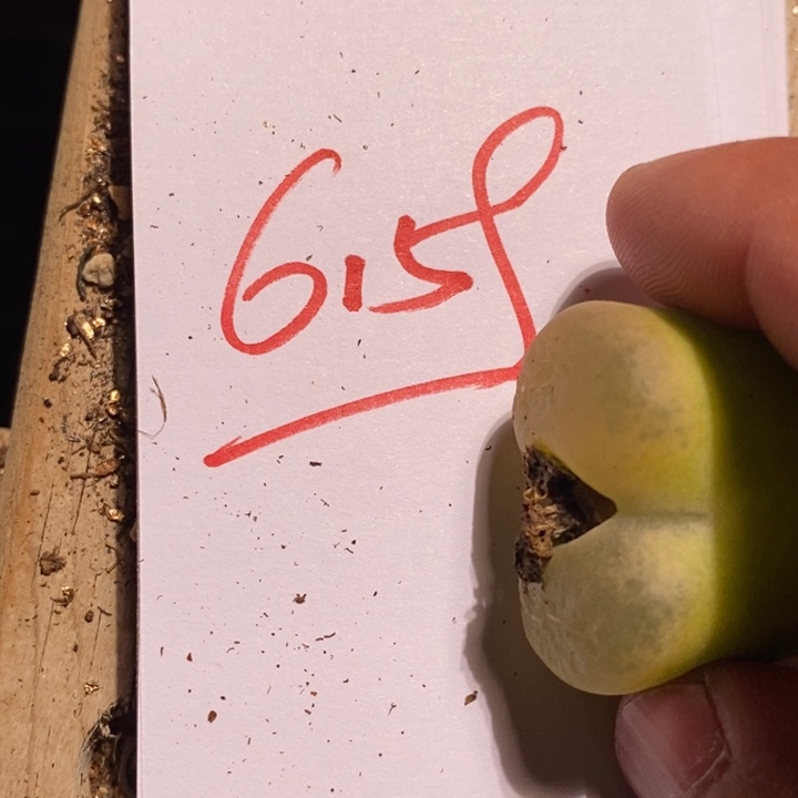 宝*6159一个一个一个