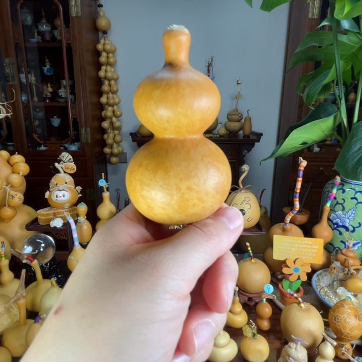 厚皮响籽老皮葫芦福福