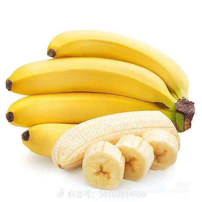 海南精品甜香蕉