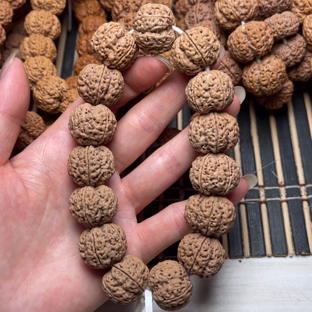 菩提7号金刚菩提爆肉梁梅花22