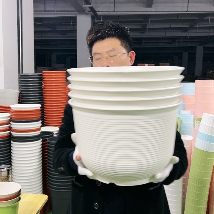 正品矮陶口36高25白色3只无托