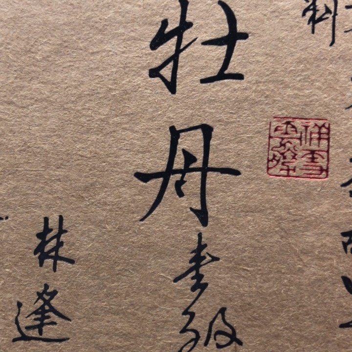 杯方守龙24，一级牡丹50g分享