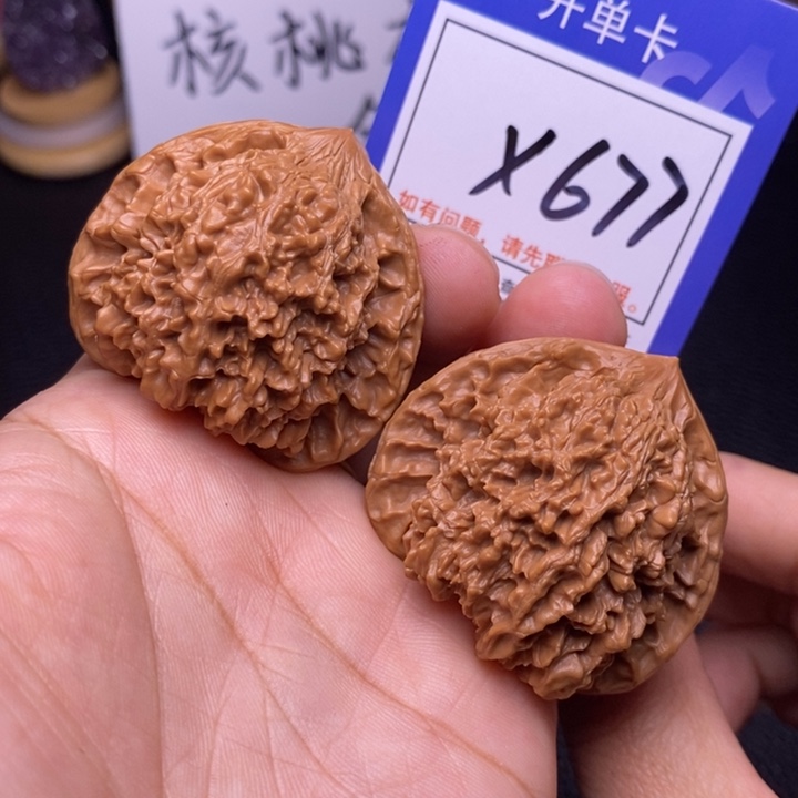 文玩核桃把件44满天星x677