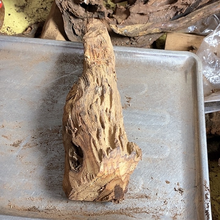 黄花梨/降香黄檀潘*