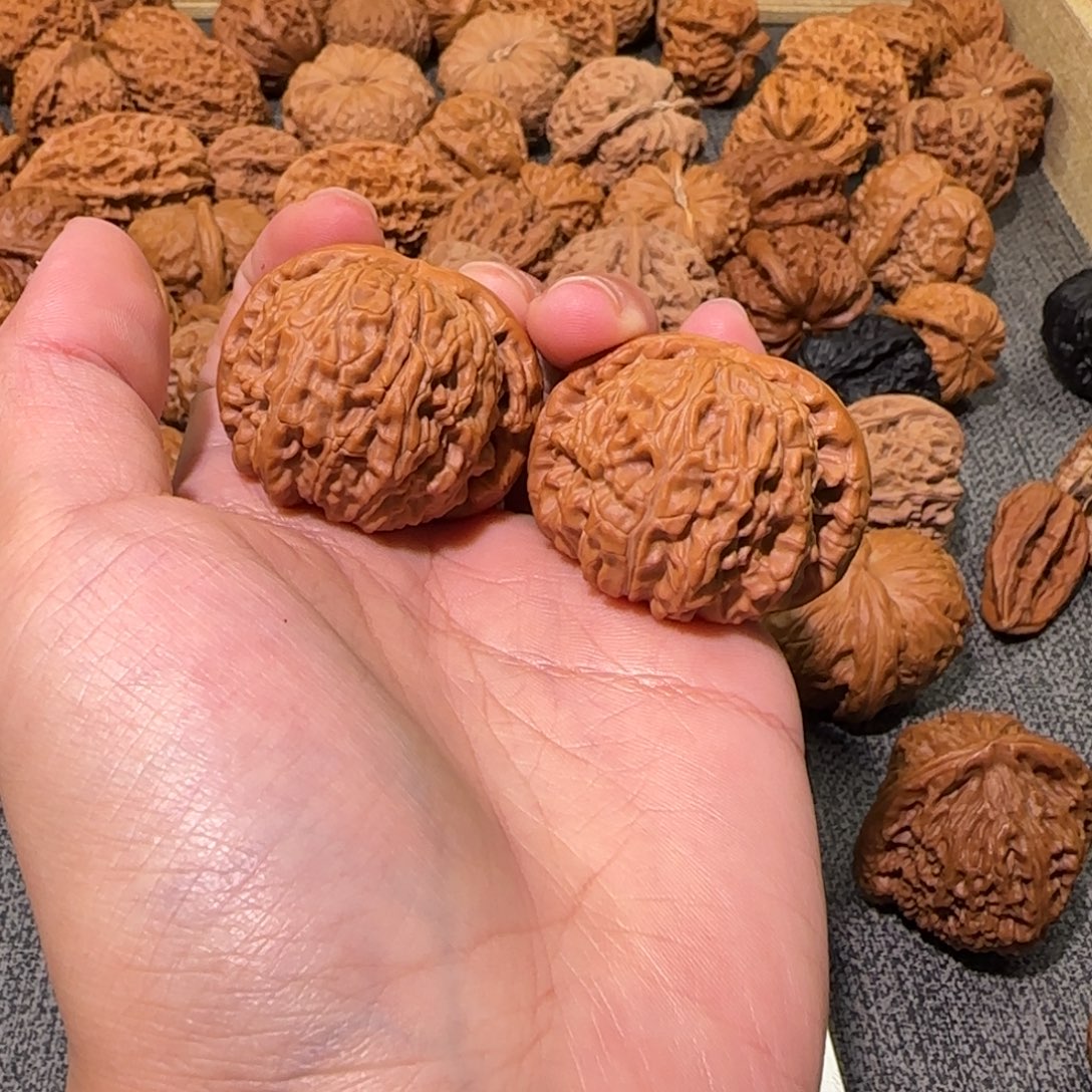 把件文玩核桃42白狮子练手