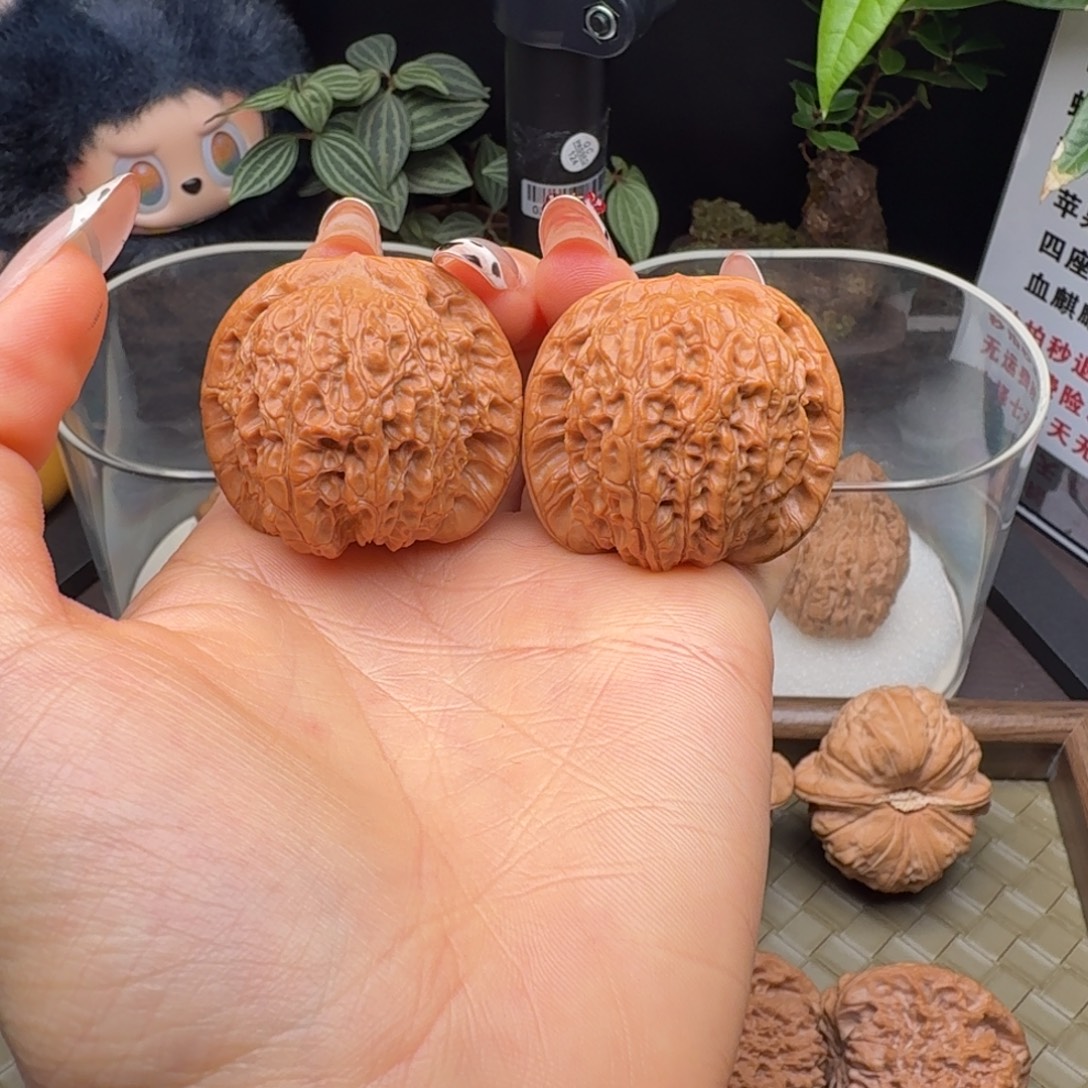 核桃血麒麟（微修打底）39