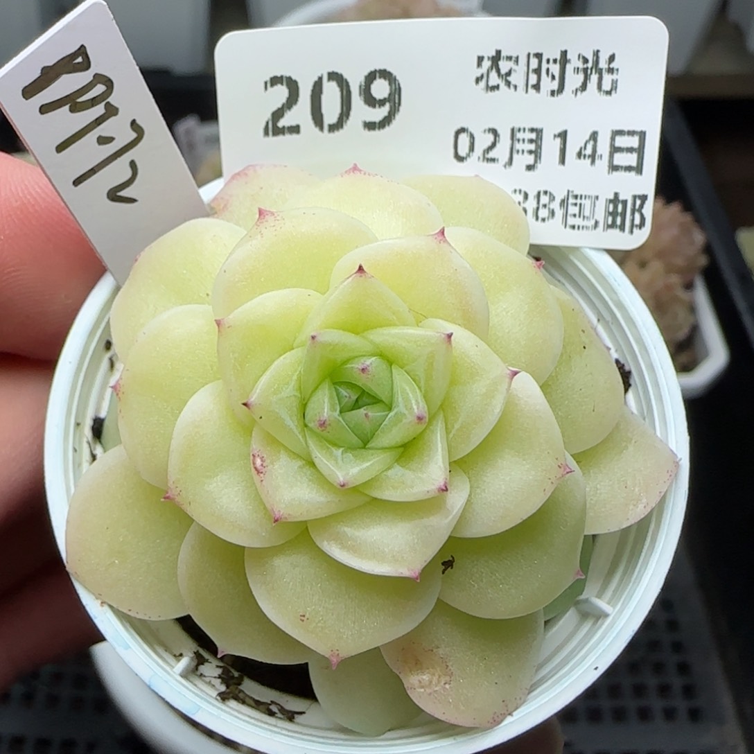 0214-209（PPT-72）