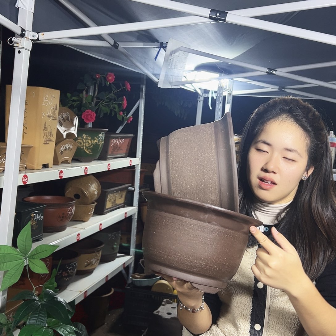 25+25拉毛小马花盆花盆