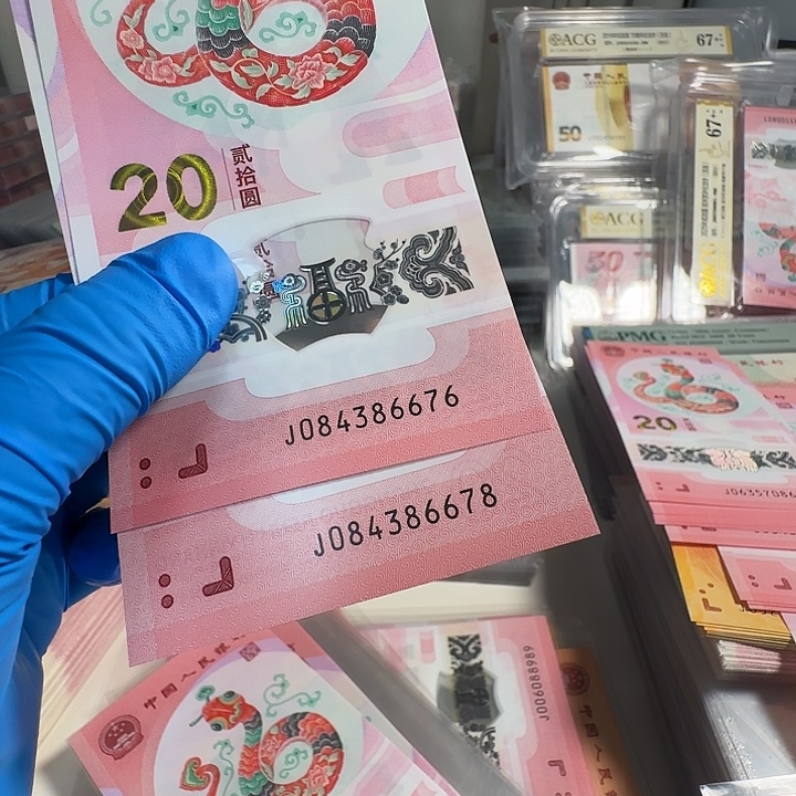 木***尘塑料蛇钞6676/6678