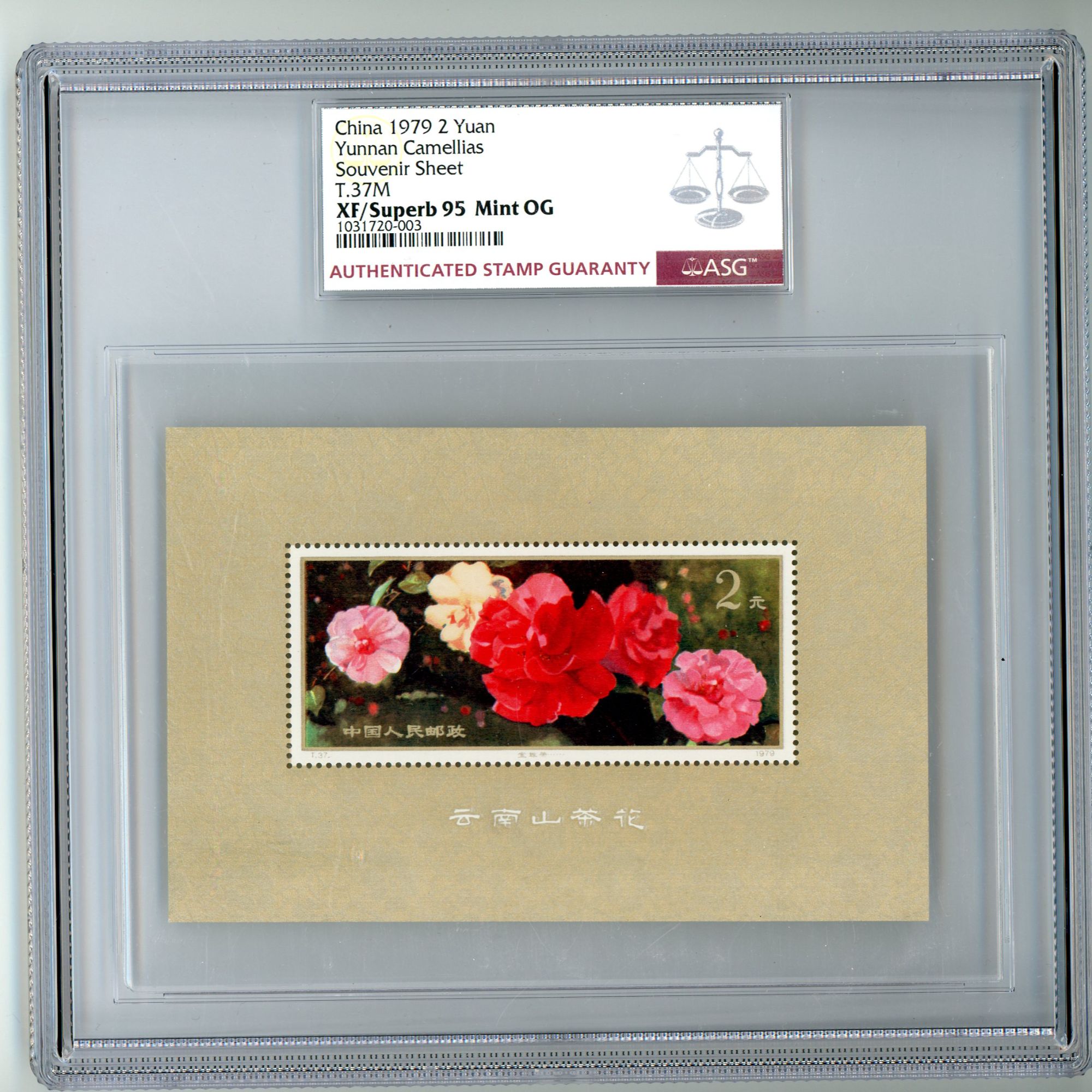 T37M 山茶花小型张 ASG95 邮票 