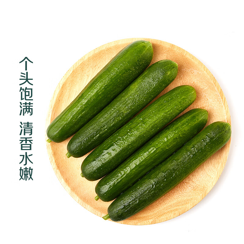 【水果菜】荷兰水果黄瓜约600g