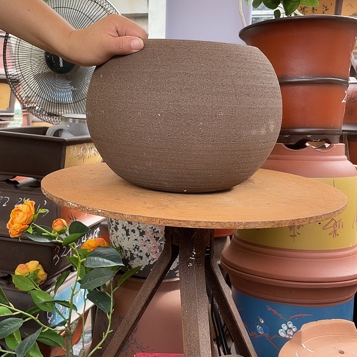 刘拉毛球球花盆紫砂花盆大作战