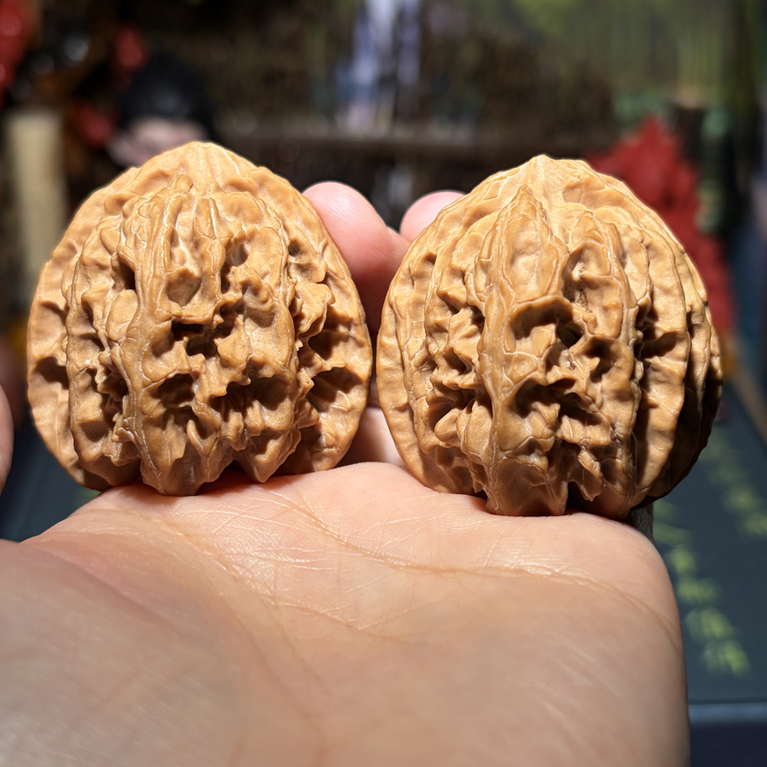 苹果园16#43边43肚43高48克全品无修大尺寸原桩老树三角桩苹果园