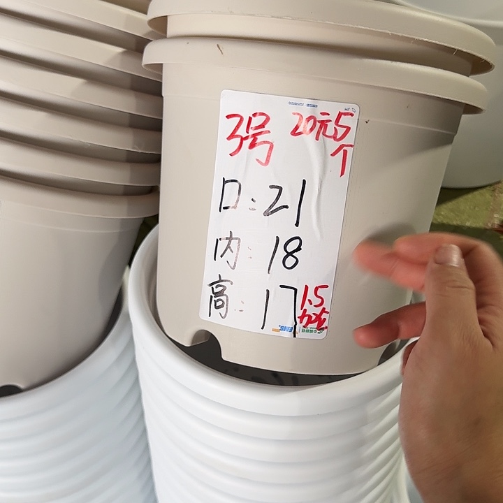 微瑕3#灰白10个无托