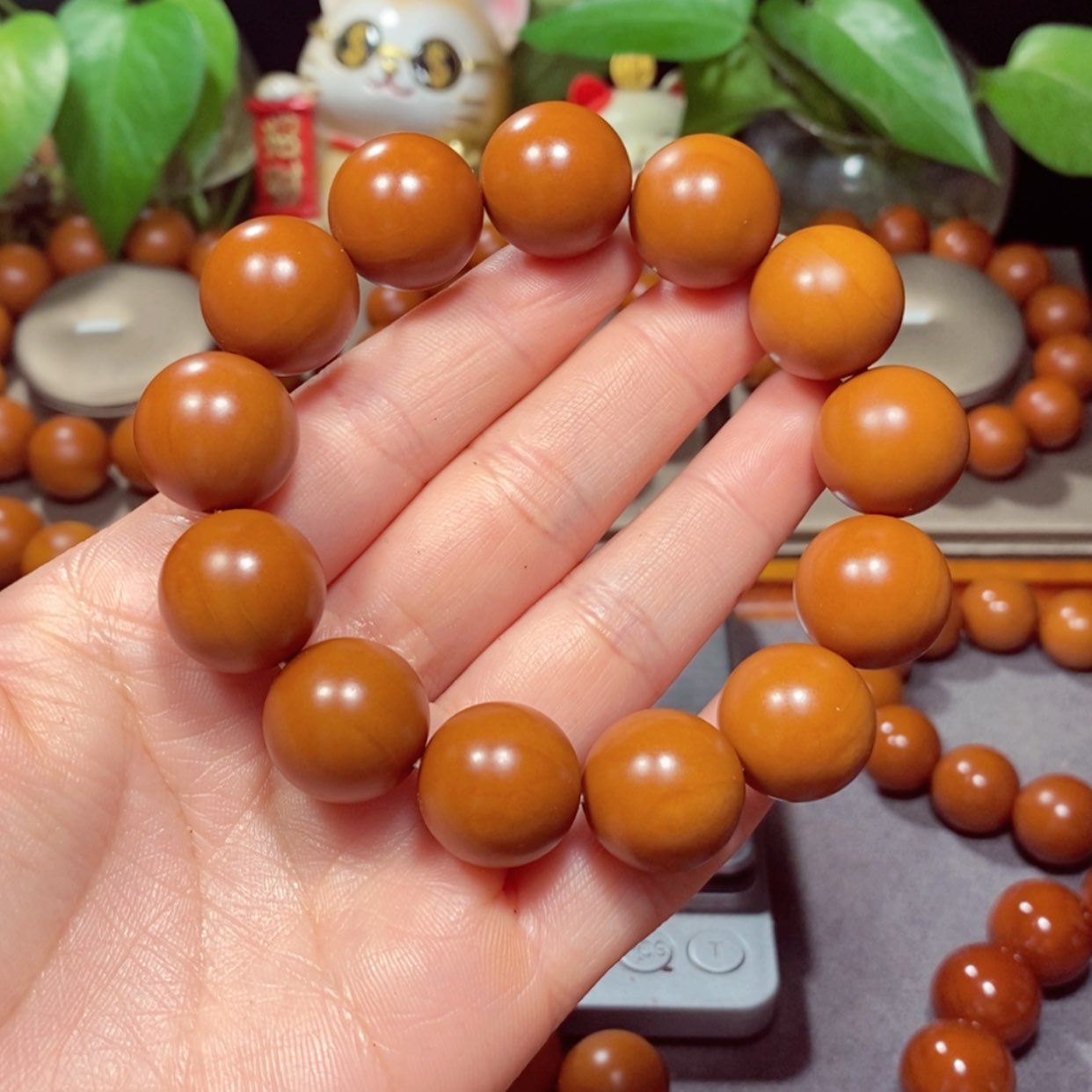 【闪购商品】橄榄核吊坠泰****哥1.75+广西树王全品小孔