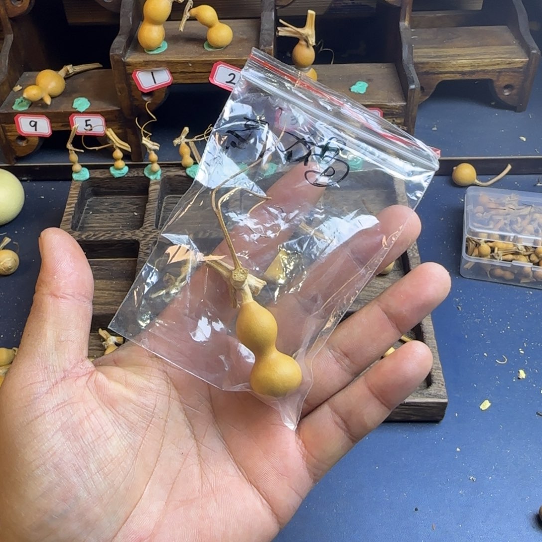 黑****黑我也是很喜欢这个节目了这个发布会