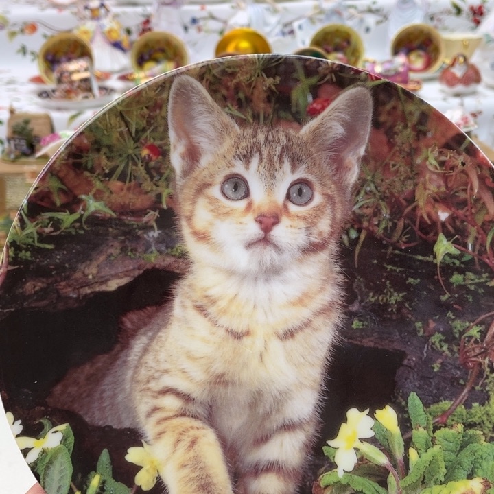 盘维多利亚欧洲中古