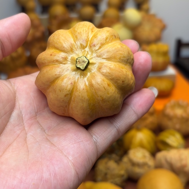 海***楼福利特价不退不换