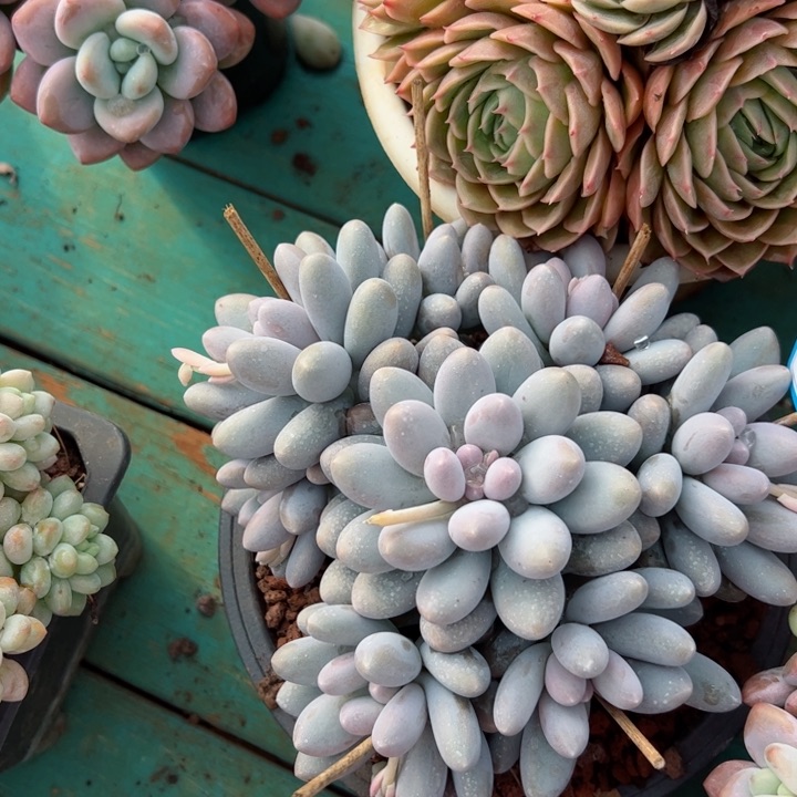 76汤元平平安安健健康康