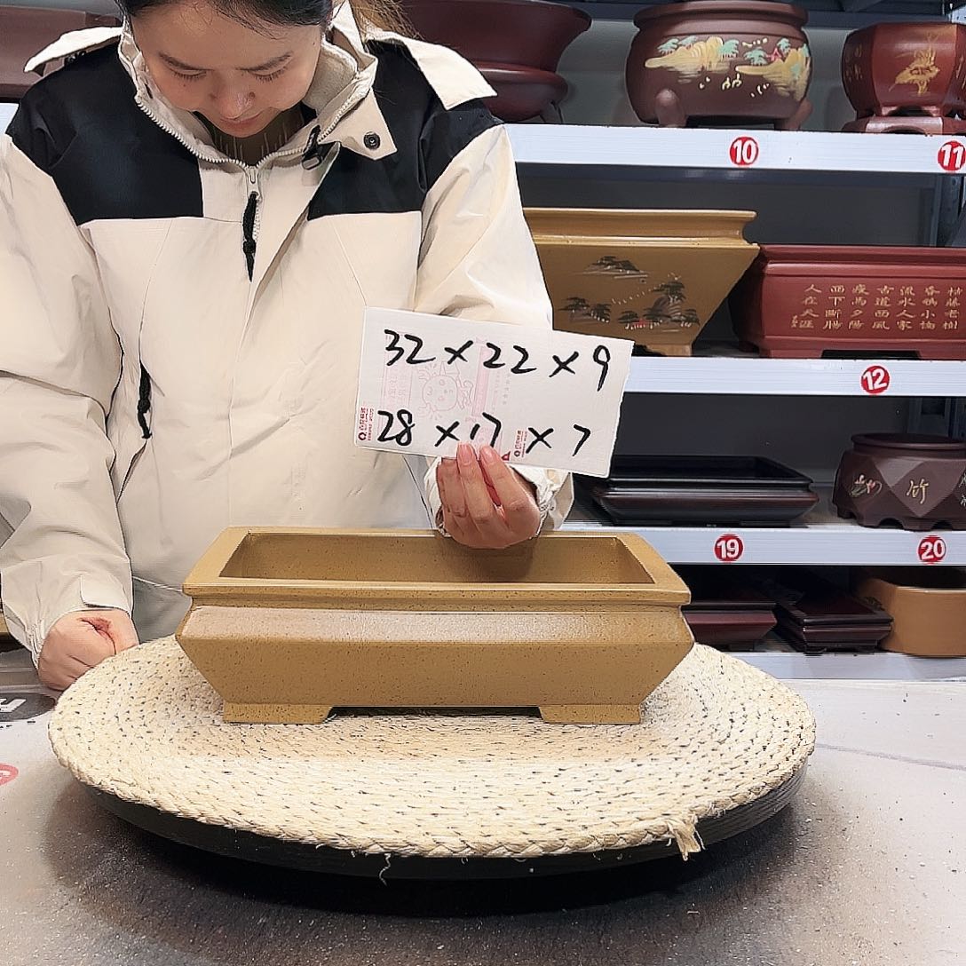 紫砂花盆紫砂花盆里