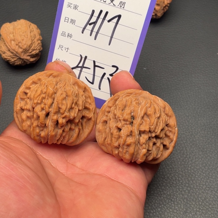 核桃四座楼45尺寸全品