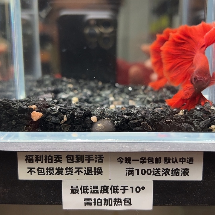 斗鱼跑单拉黑23日136