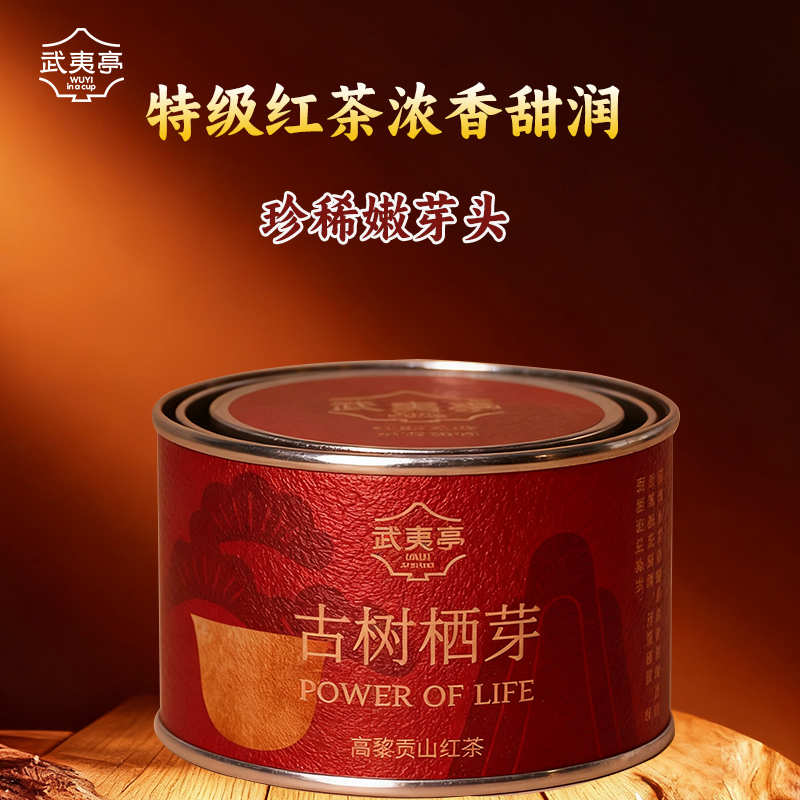 武夷亭 古树栖芽红茶 武夷亭红茶 罐装25克
