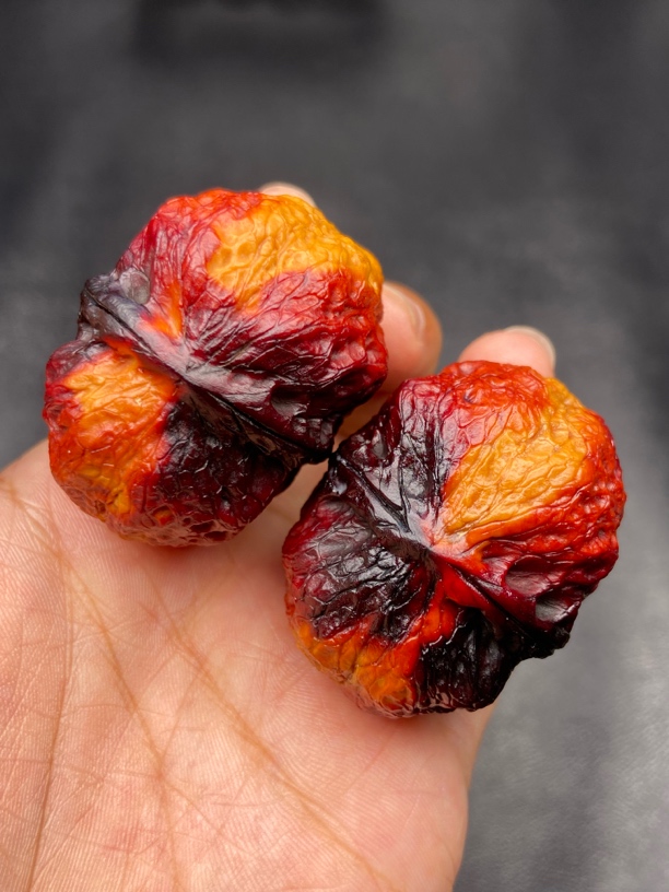 云南铁核桃 文玩核桃 42-43尺七彩肥蟾发货图片同款随机一对