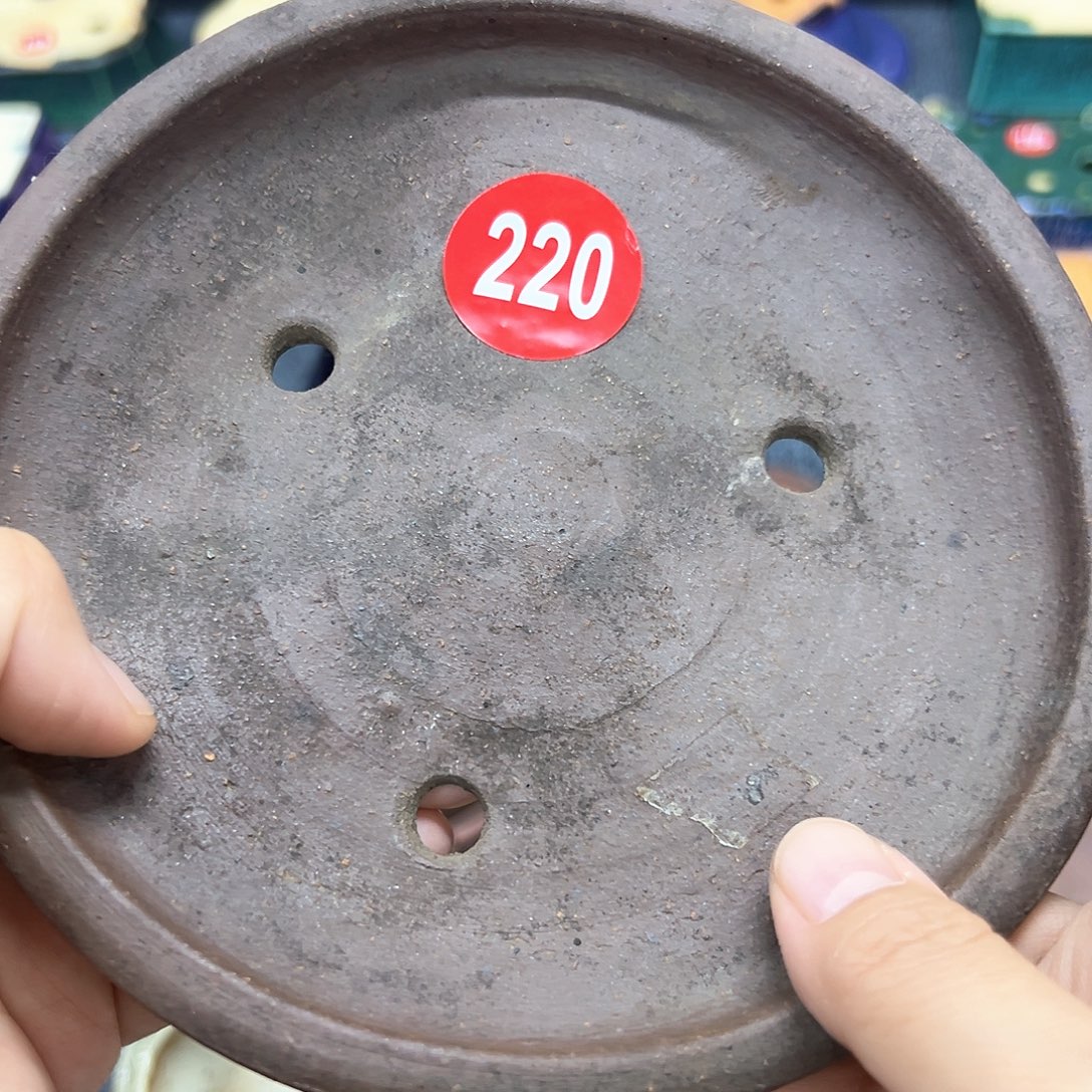 就***～对你的喜欢就如同这日子只增不减220